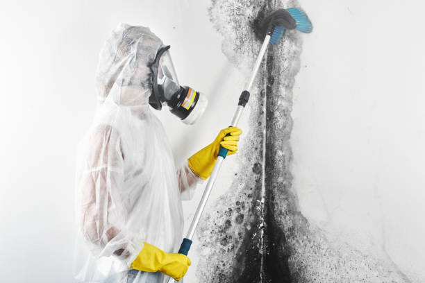 Best Comprehensive Air Testing for Mold Contaminants  in North Syracuse, NY