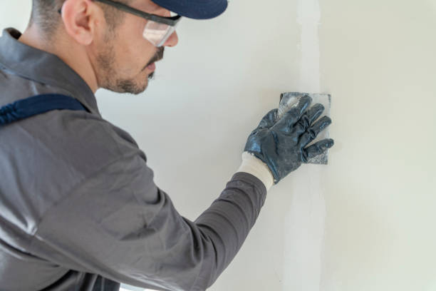 Best Mold Documentation for Insurance Claims  in North Syracuse, NY