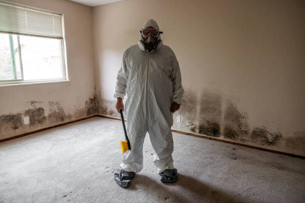 Best Mold Removal for HVAC Installations  in North Syracuse, NY